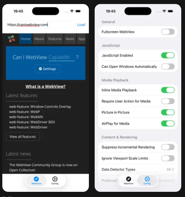 CanIWebView iOS screenshot